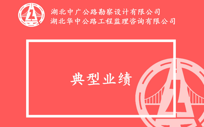 公司典型業(yè)績(jī)